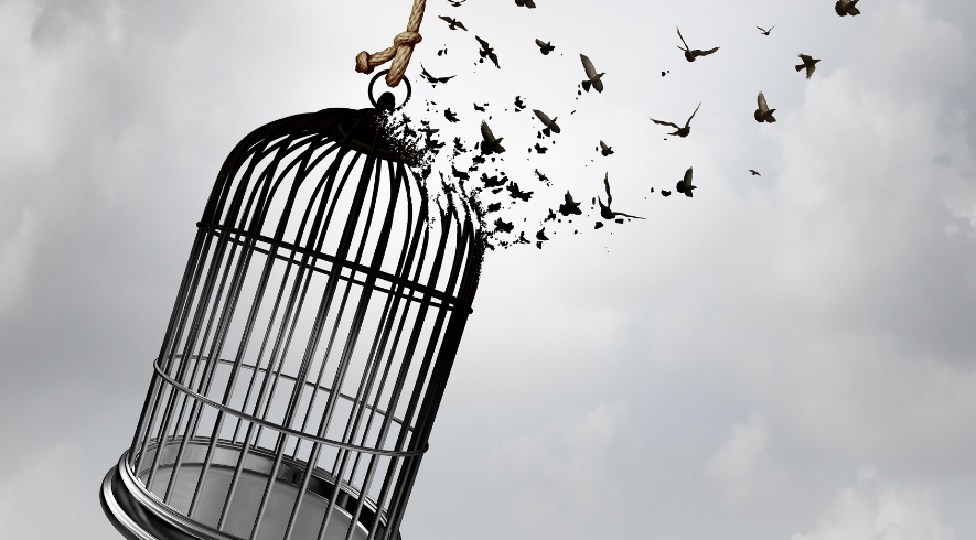 Cage With Birds Flying Away